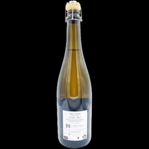 Ancestral 2021 - Les terres blanches - Céline Benoît-Blet - Arrière