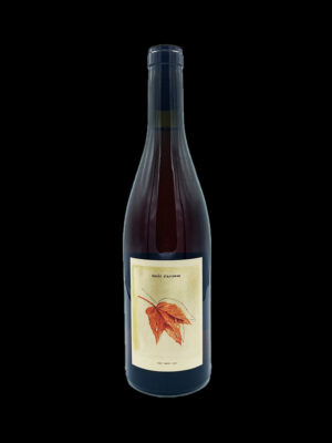 Rosée d'automne 2021 - Gamay d'Auvergne - Henri Chauvet