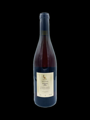 Rosée d'automne 2021 - Gamay d'Auvergne - Henri Chauvet - Arrière